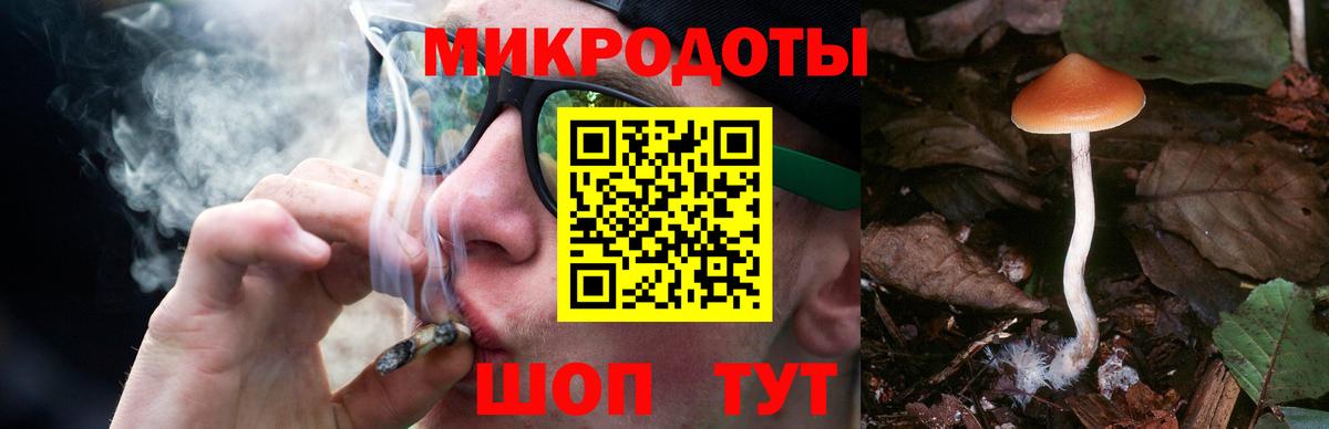 Галлюциногенные грибы Cubensis Серпухов